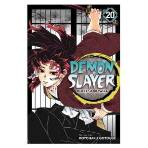 demon slayer 20